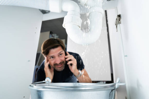 Best Local Plumber Services  in Wisr, NE